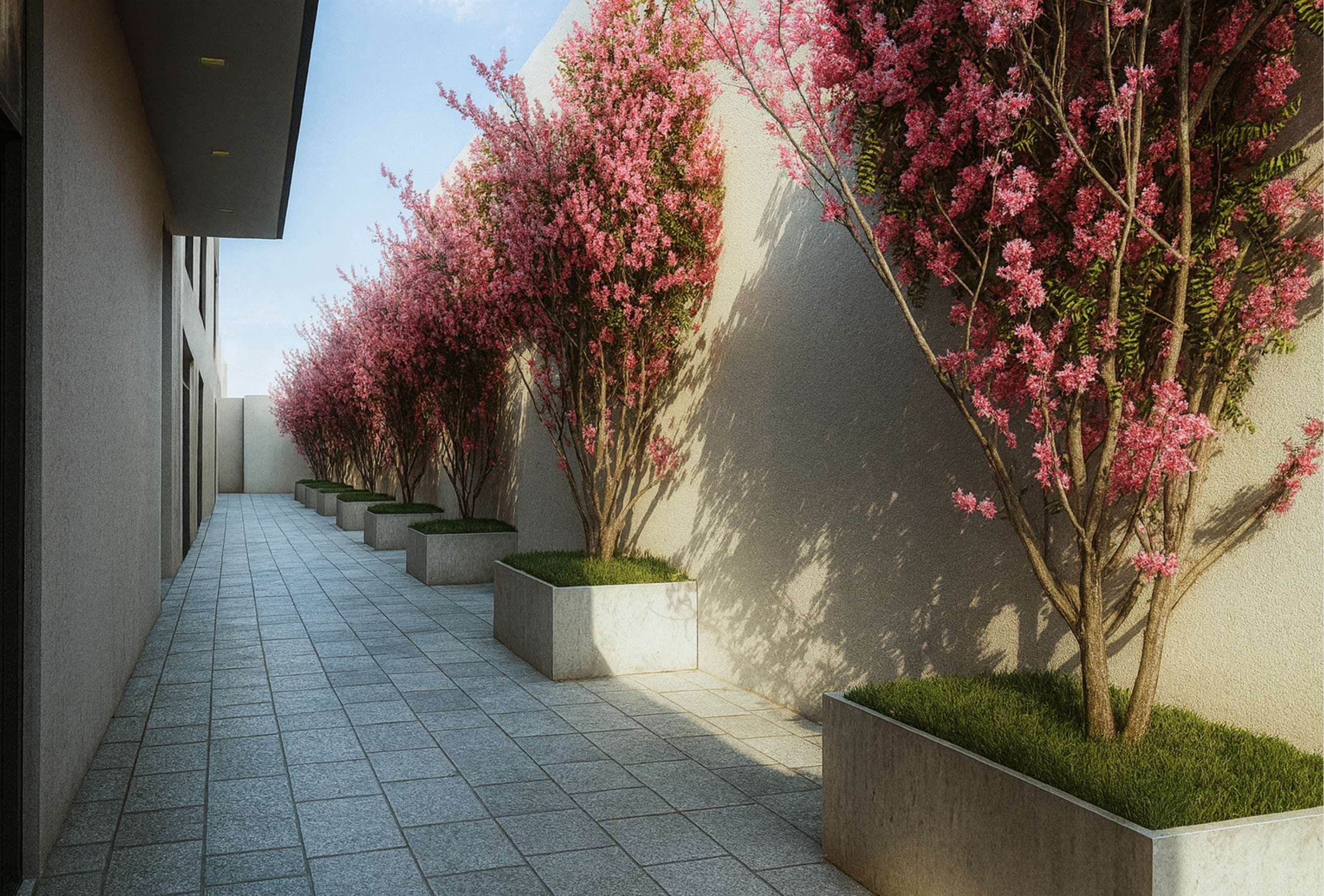 Streetscapes & Offices