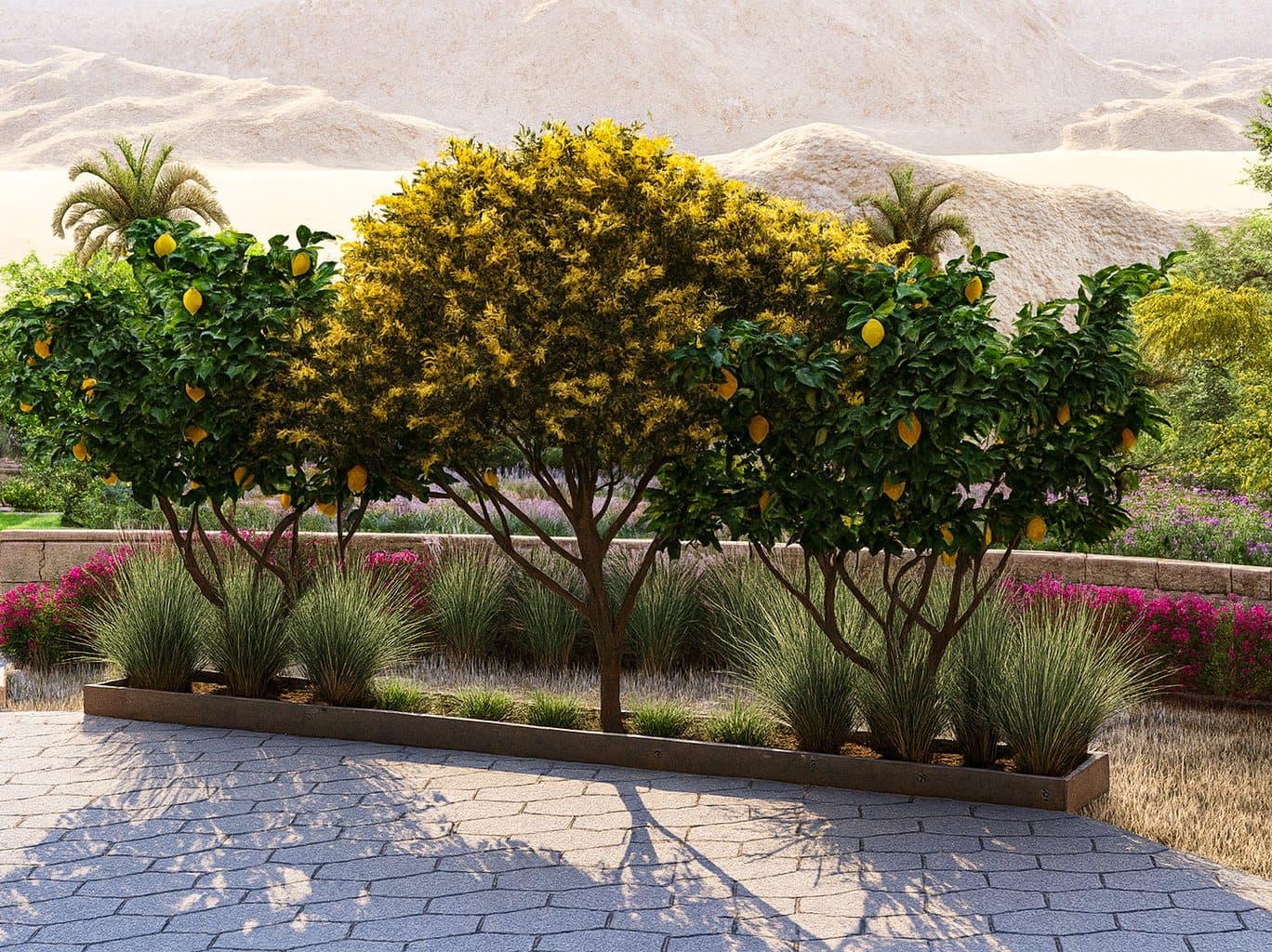 Feature Trees & Planting