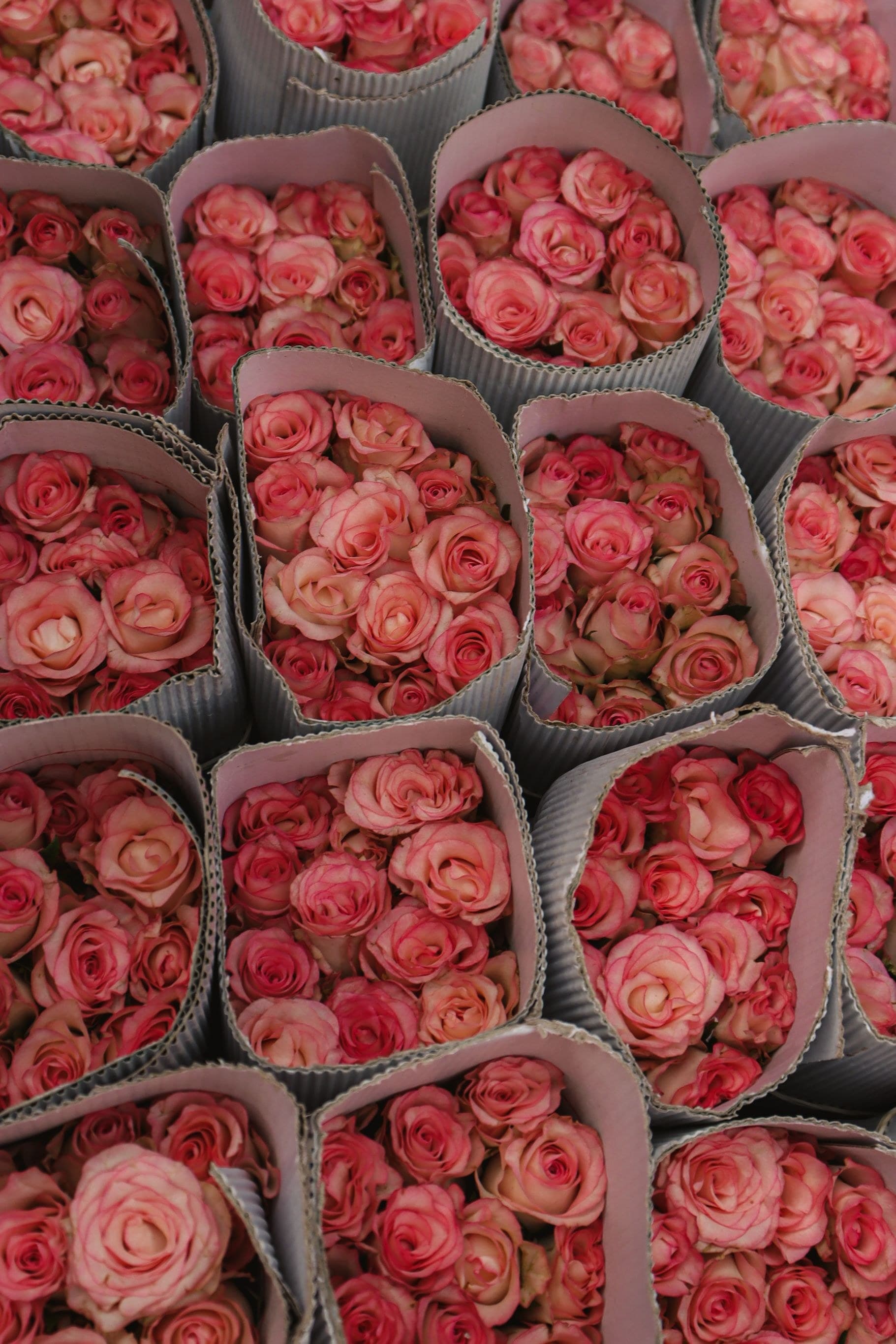 Flower Wholesale — 2