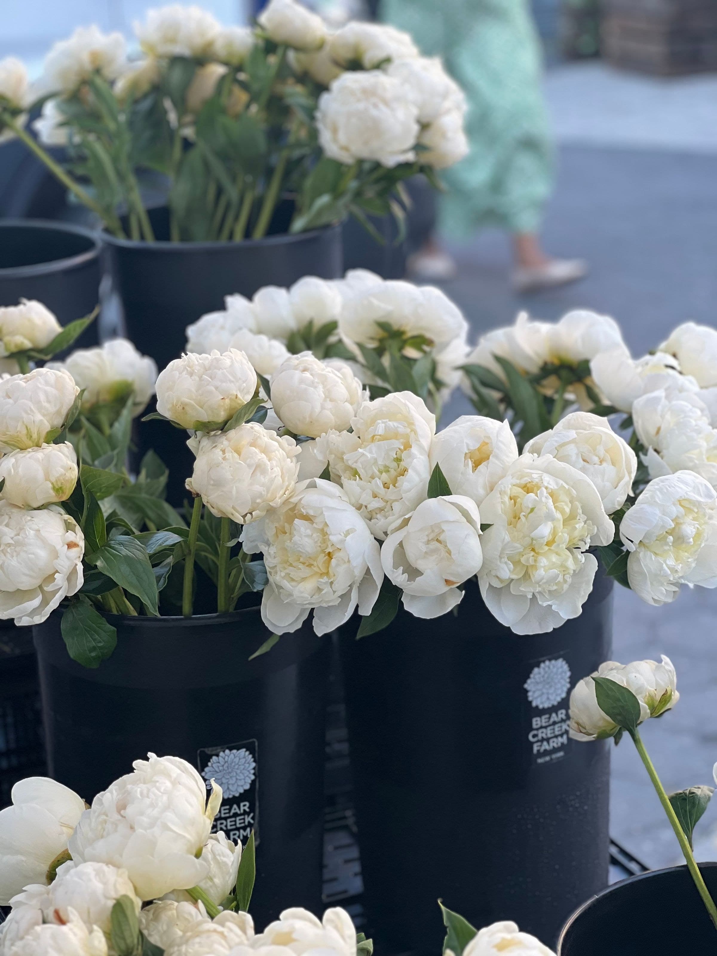 Flower Wholesale — 1