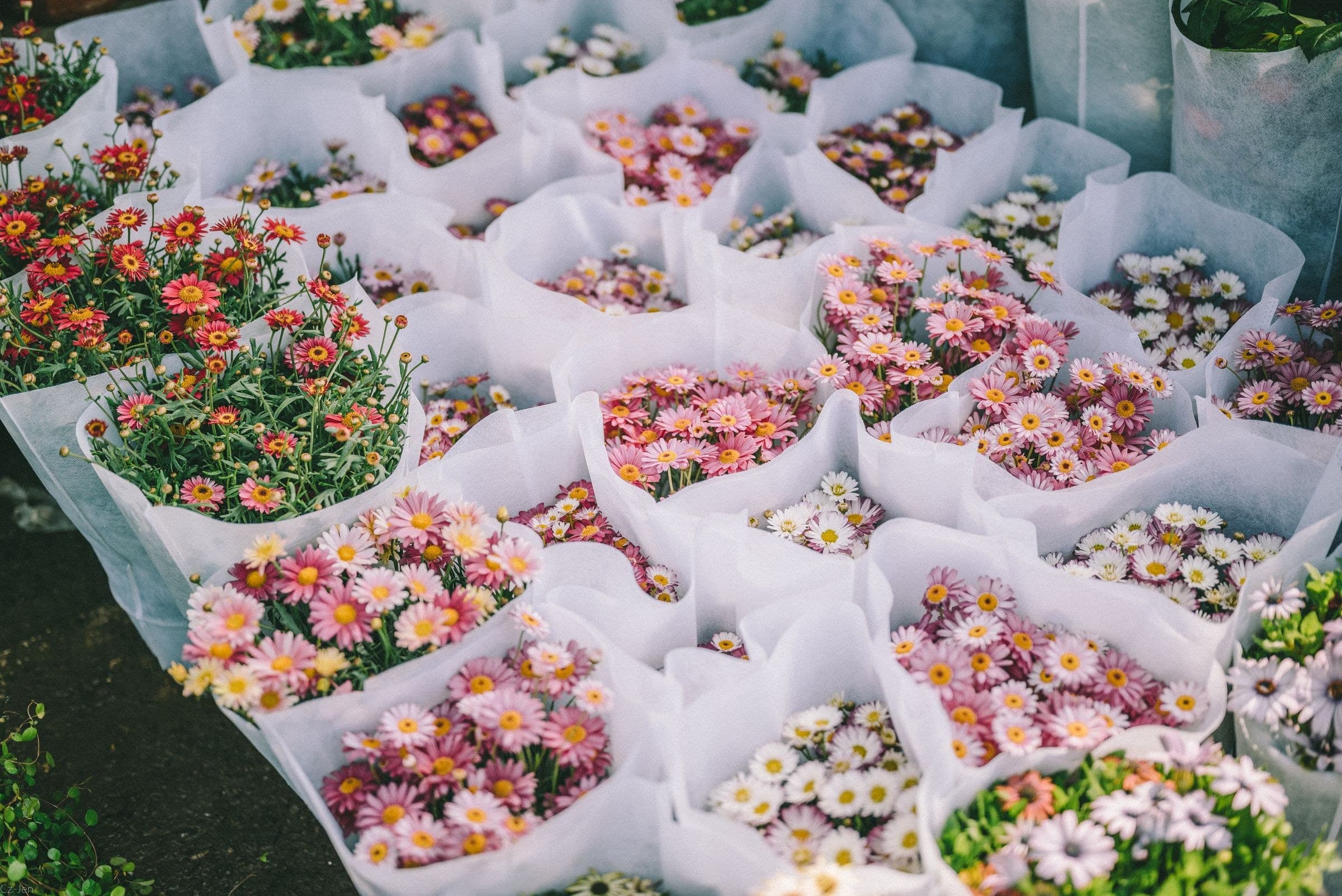 Flower Wholesale — 5