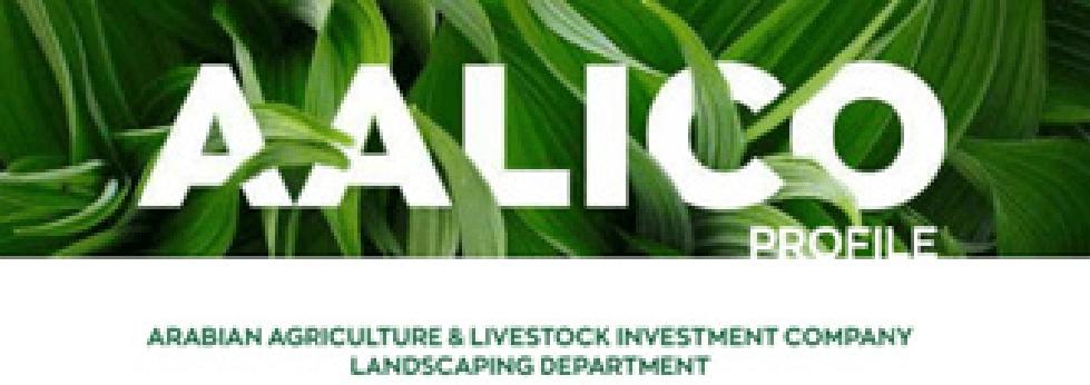 AALICO